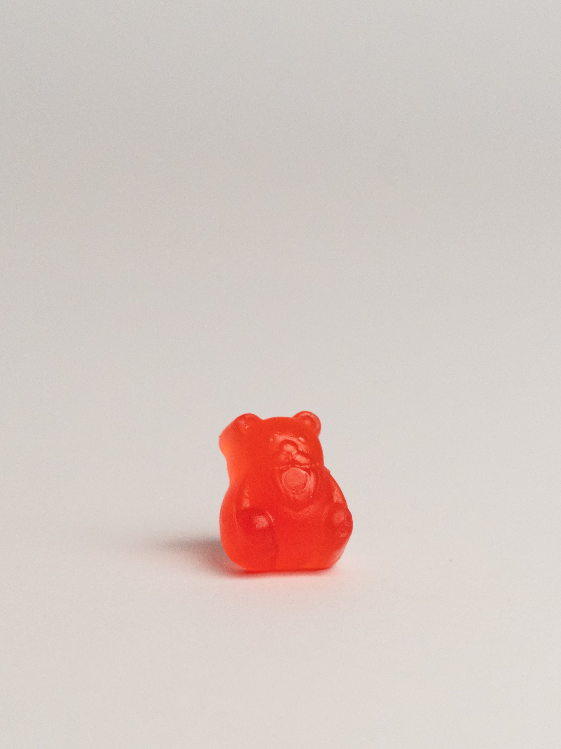 Gummibeard Proteccion
